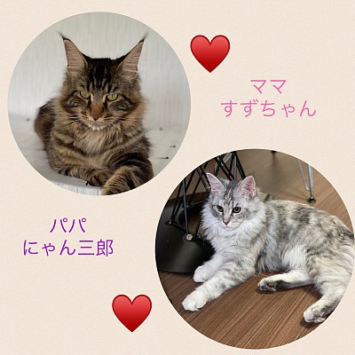 9月初旬　出産予定　🍼　済み