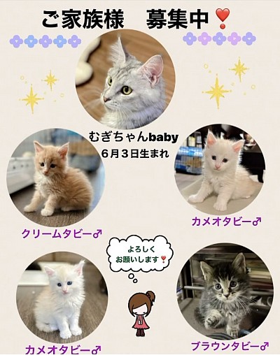 よく食べ、よく遊び、元気いっぱいの男の子達❣️ 大きな耳、太い手足、みんなとっても可愛い😍です💕