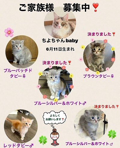 まんまるの可愛い目、見つめられるとキュン💕となる😍　甘えん坊な子供たち😊