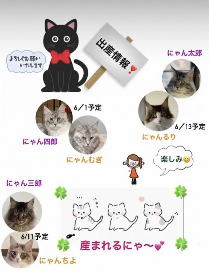 続けて出産があります❣️頑張るぞー💪　済み