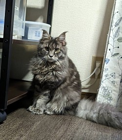 うめちゃん😽