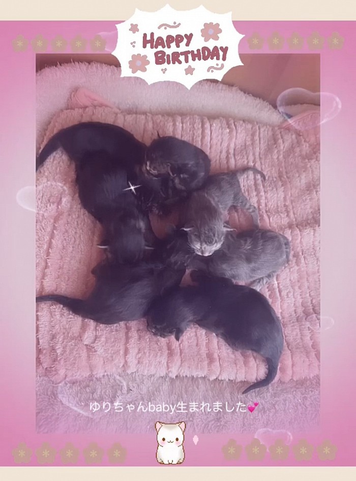 2024年3月25日　ゆりちゃんbaby 生まれました💕
